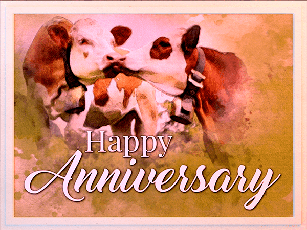 anniversary ecard with watercolor illustration of cows kissing