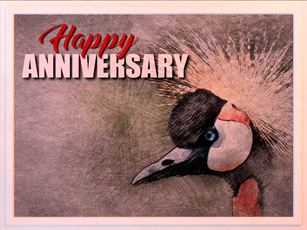 anniversary ecard with watercolor illustration of black crowned crane