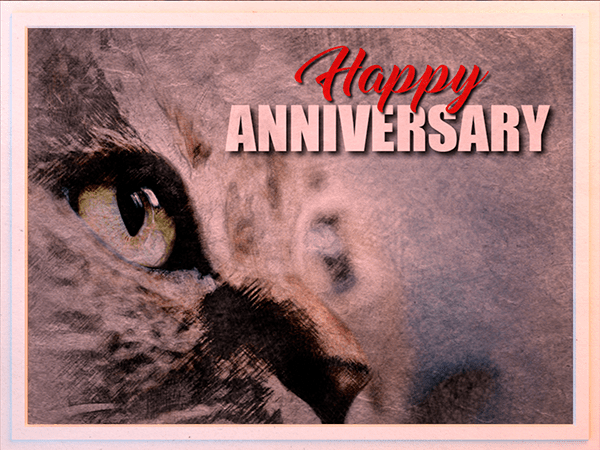 anniversary ecard with watercolor illustration of cat closeup