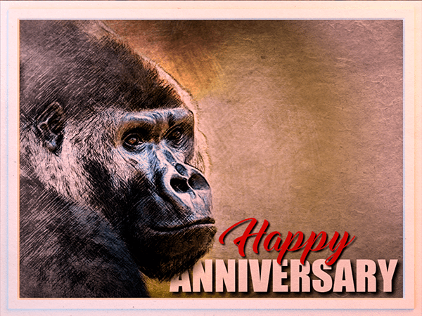 anniversary ecard with watercolor illustration of gorilla portrait