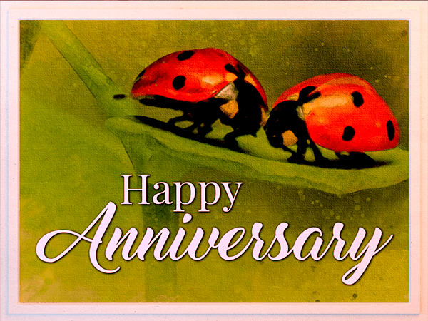 anniversary ecard with watercolor illustration of ladybugs on a leaf