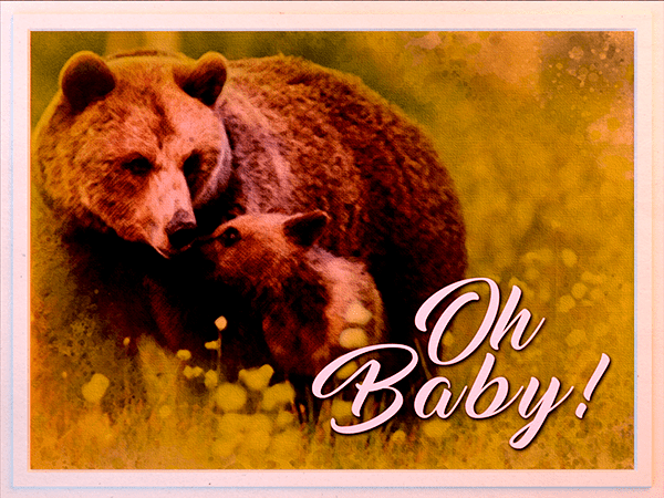 new baby ecard with watercolor illustration of bear adult and cub