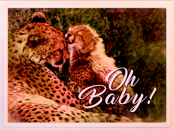 new baby ecard with watercolor illustration of cheetah adult and cub