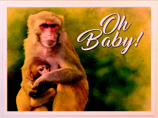 new baby ecard with watercolor illustration of macaque mother and infant