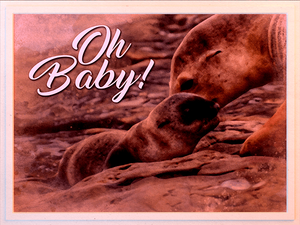 new baby ecard with watercolor illustration of sea lion adult and pup