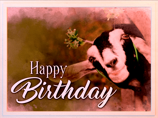 Birthday eCard with watercolor illustration of goat