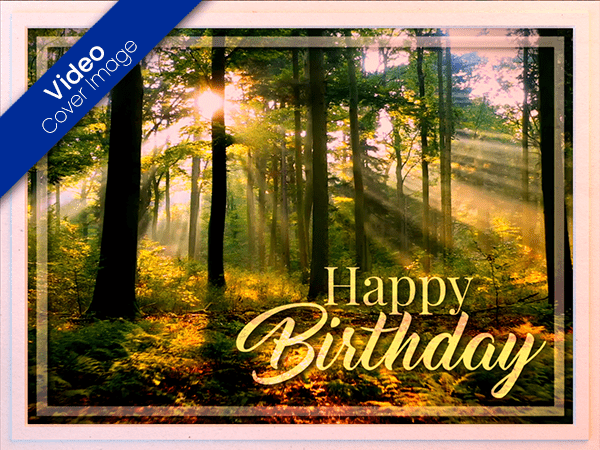 birthday ecard with video of light streaming through forest