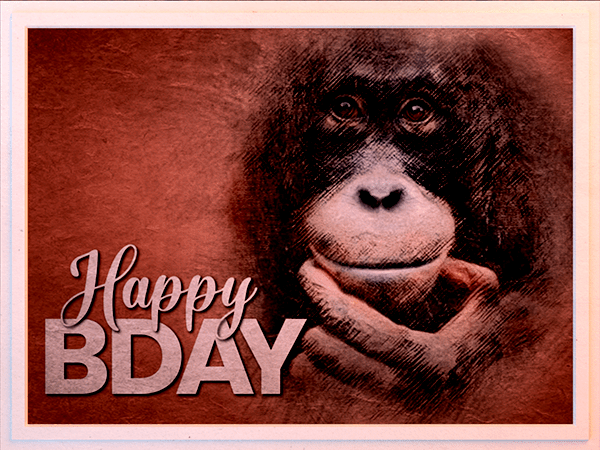 Birthday eCard with watercolor sketch of orangutan