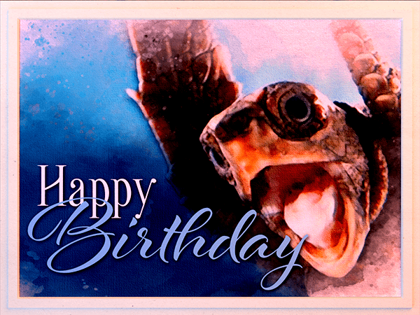 birthday ecard with watercolor illustration of sea turtle