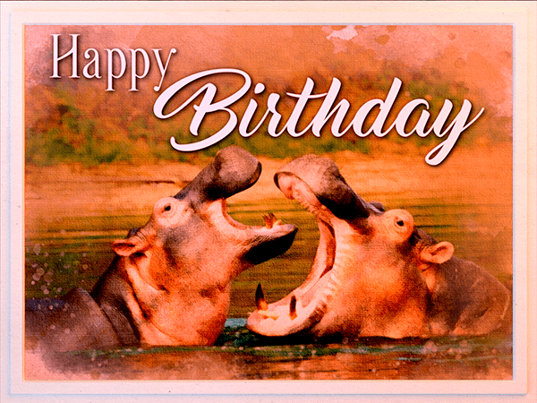 birthday ecard with watercolor illustration of hippos in water