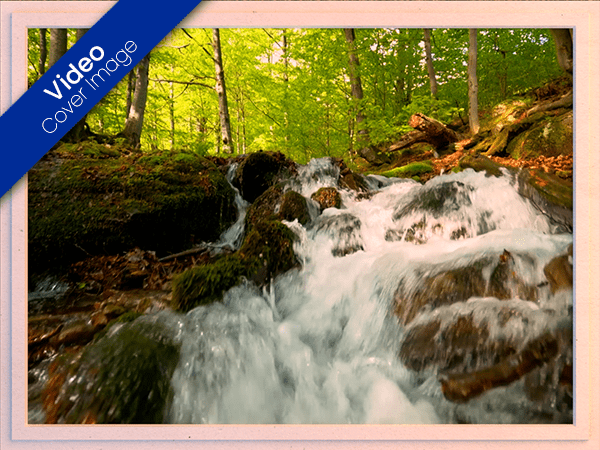 blank ecard with video of stream with rapids in forest