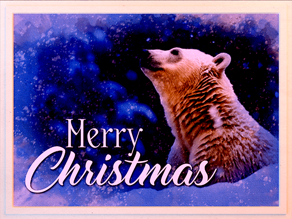 christmas ecard with watercolor painting of polar bear in snow