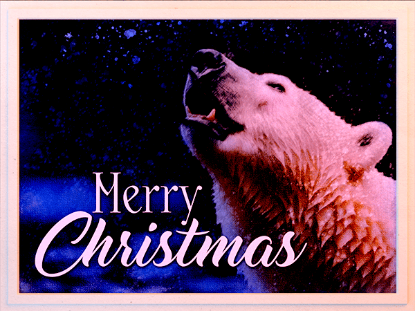 christmas ecard with watercolor painting of polar bear in snow