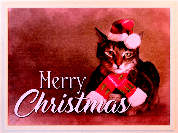 christmas ecard with watercolor painting of cat in santa hat