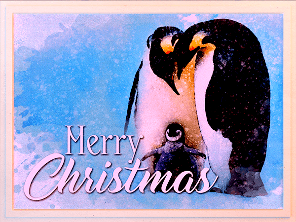 christmas ecard with watercolor painting of penguin family in snow