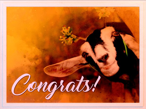 congratulations ecard with watercolor illustration of goat wearing party headband