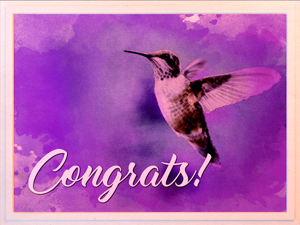 congratulations ecard with watercolor illustration of hummingbird in flight