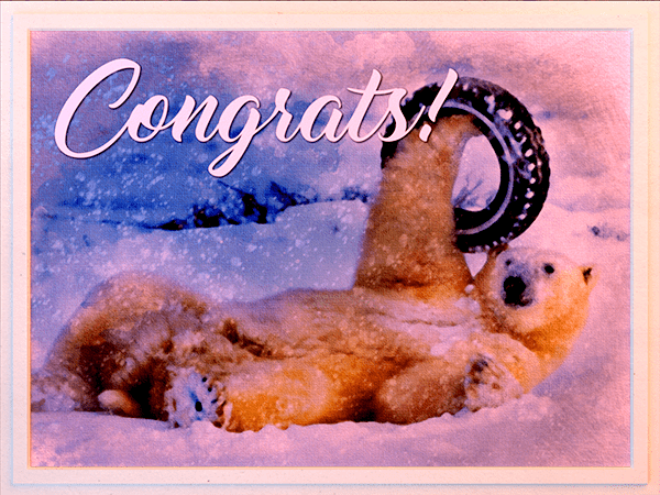 congratulations ecard with watercolor illustration of polar bear holding tire