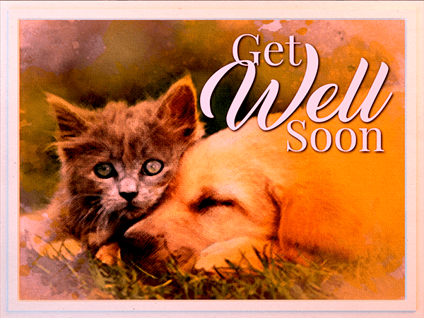 get well ecard with watercolor illustration of puppy and kitten resting together