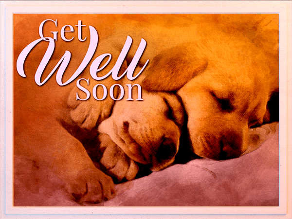 get well ecard with watercolor illustration of puppies napping together