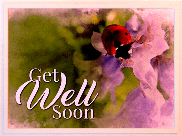 get well ecard with watercolor illustration of ladybug on flower