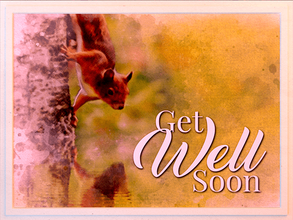 get well ecard with watercolor illustration of red squirrel on tree