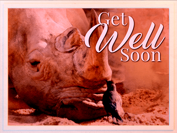 get well ecard with watercolor illustration of rhino and bird