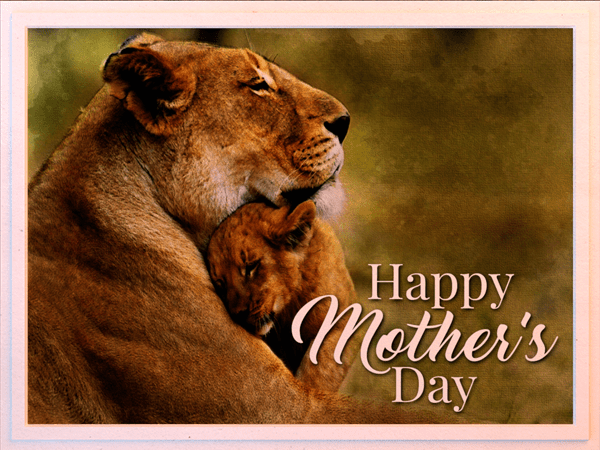 mothers day ecard with photo of lioness and cub