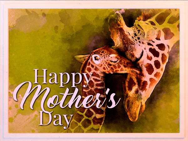 mothers day ecard with watercolor illustration of giraffe mother and calf