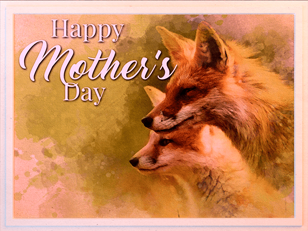 mothers day ecard with watercolor illustration of fox mother and pup