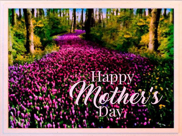 mothers day ecard with watercolor illustration of wildflower path through woods