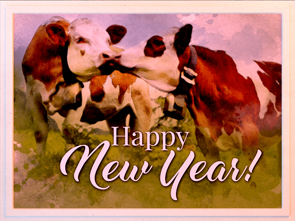 new years ecard with watercolor illustration of cows kissing