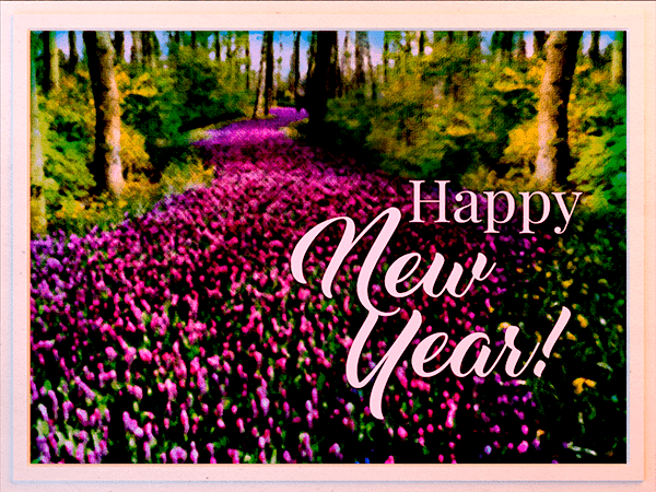 new years ecard with watercolor illustration of wildflower path through woods