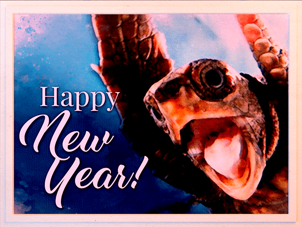 new years ecard with watercolor illustration of sea turtle