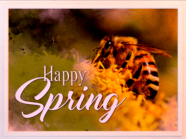 spring ecard with watercolor illustration of honeybee