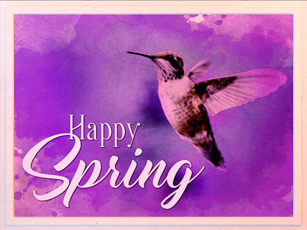 spring ecard with watercolor illustration of hummingbird in flight