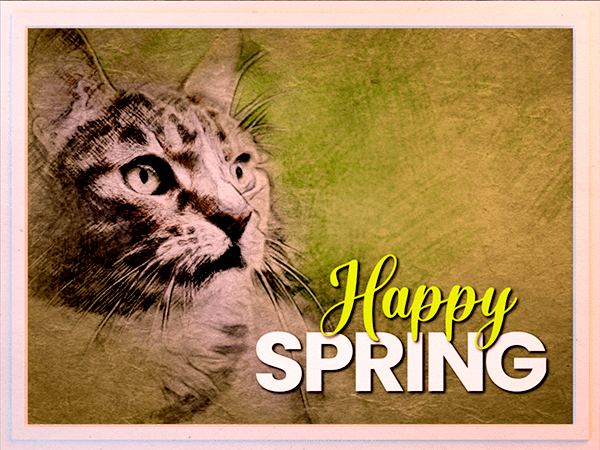 spring ecard with watercolor portrait of cat