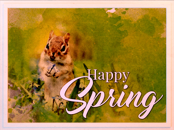 spring ecard with watercolor illustration of chipmunk holding flower