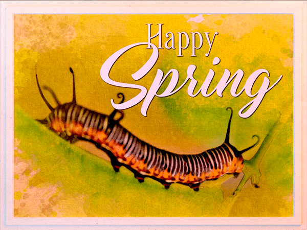 spring ecard with watercolor illustration of caterpillar on leaf