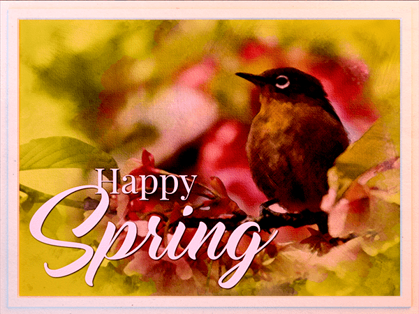 spring ecard with watercolor illustration of bird in a tree