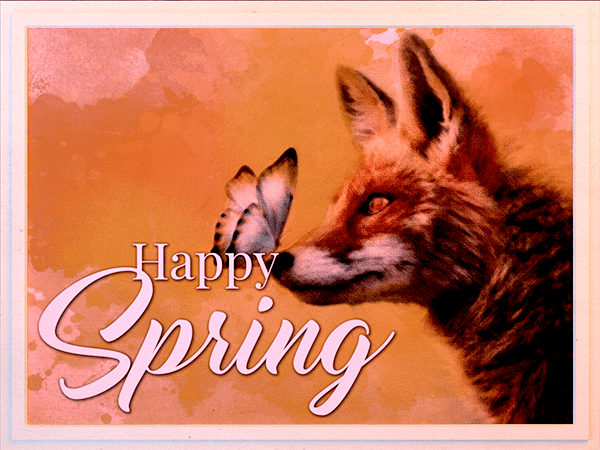 spring ecard with watercolor illustration of fox and butterfly