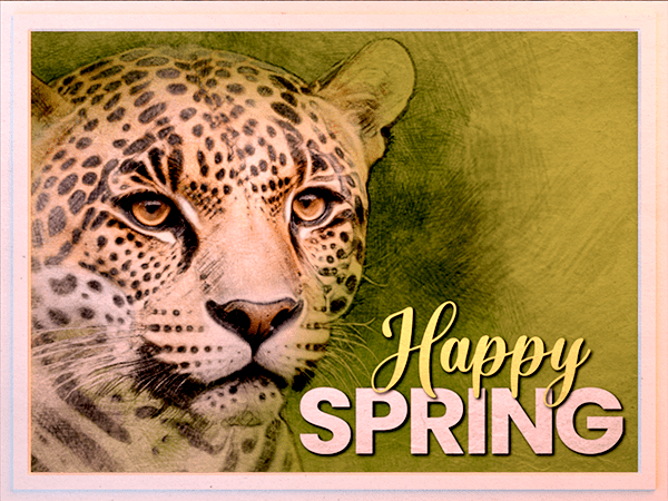 spring ecard with watercolor portrait of leopard