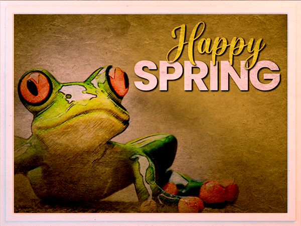 spring ecard with watercolor illustration of tree frog