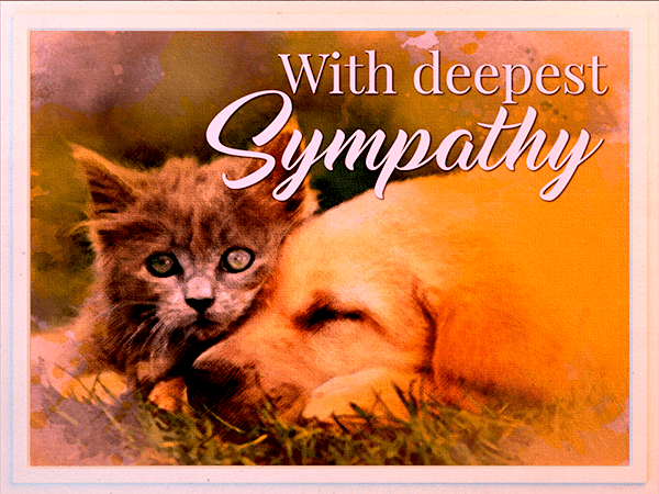 sympathy ecard with watercolor illustration of kitten and puppy resting together