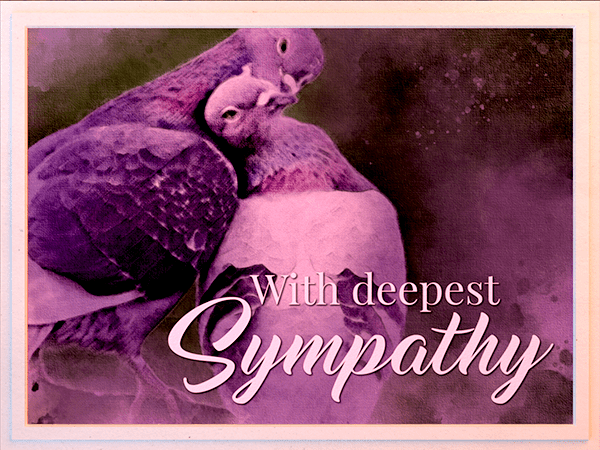 sympathy ecard with watercolor illustration of pigeons preening