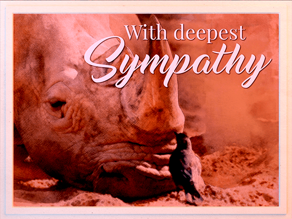 sympathy ecard with watercolor illustration of rhino and bird