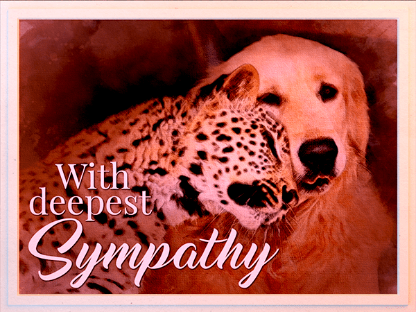 sympathy ecard with watercolor illustration of dog and leopard snuggling