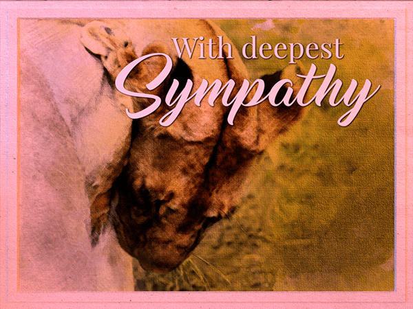 sympathy ecard with watercolor illustration of lions nuzzling