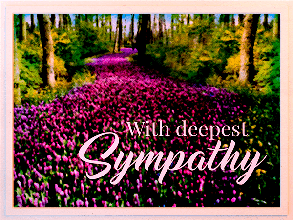 sympathy ecard with watercolor illustration of wildflower path through woods