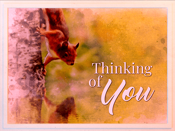 thinking of you ecard with watercolor illustration of red squirrel in tree